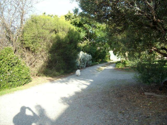 Southern Vales Bed & Breakfast Bed & Breakfast Mclaren Vale Exterior foto