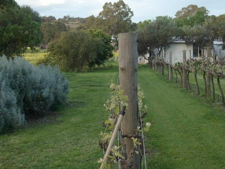 Southern Vales Bed & Breakfast Bed & Breakfast Mclaren Vale Exterior foto