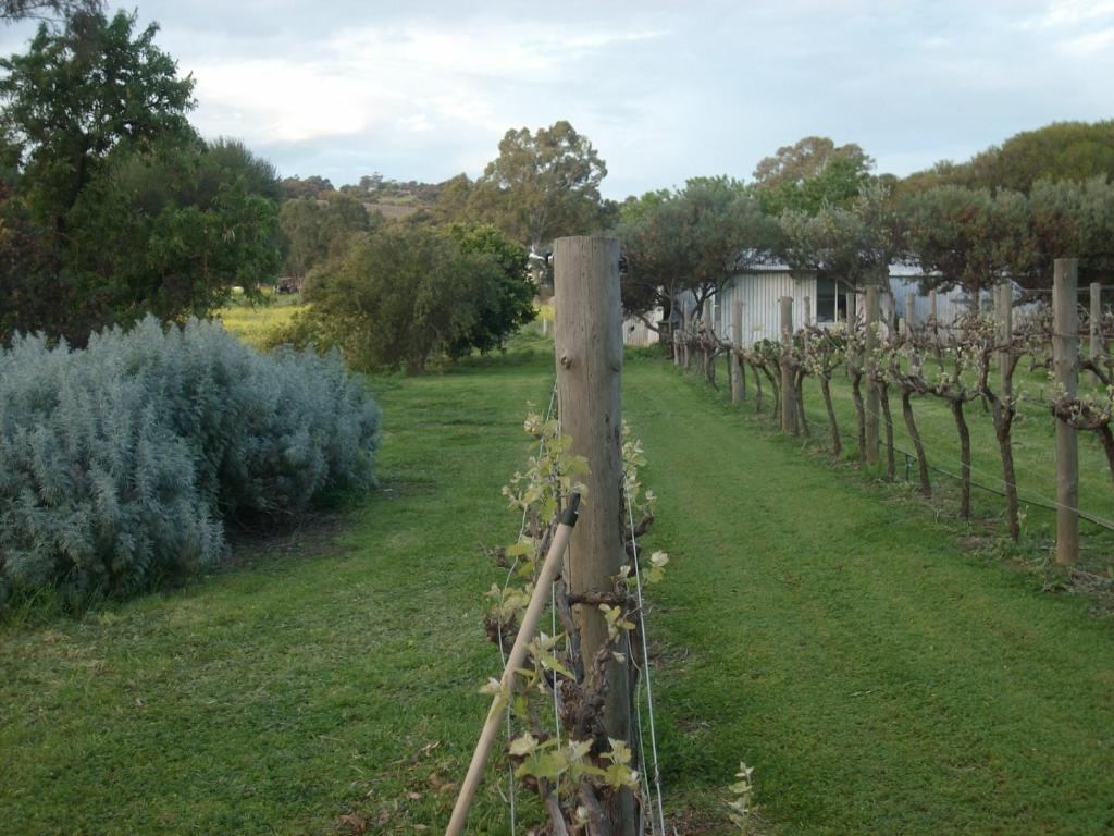 Southern Vales Bed & Breakfast Mclaren Vale Exterior foto
