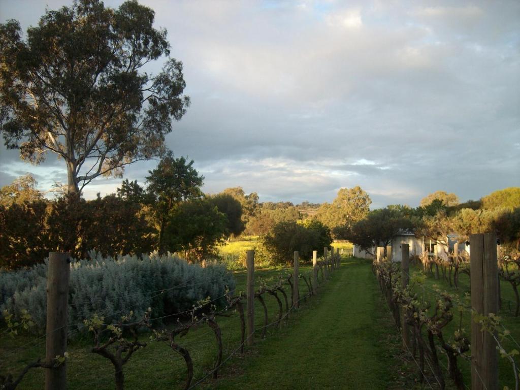 Southern Vales Bed & Breakfast Bed & Breakfast Mclaren Vale Exterior foto