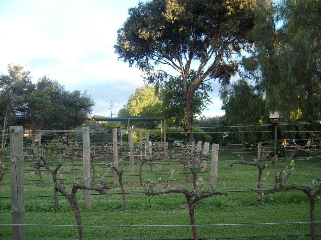 Southern Vales Bed & Breakfast Mclaren Vale Exterior foto