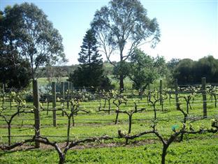 Southern Vales Bed & Breakfast Bed & Breakfast Mclaren Vale Exterior foto